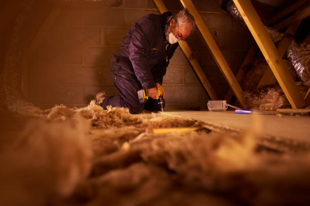 Best Specialized Insulation Services in Woodlynne, NJ